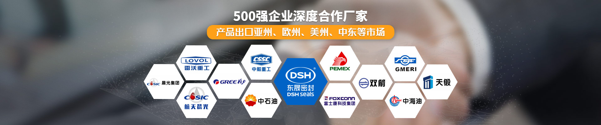 Dsh Seals产品系列丨四氟双向弹簧泛塞封密封圈——工业密封的“六边形战士”，一图看懂！_常见问答_新闻资讯_爱密特密封件公司